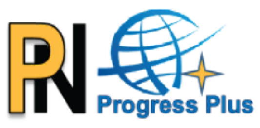 บริษัท พี. เอ็น. โปรเกรส พลัส จำกัด